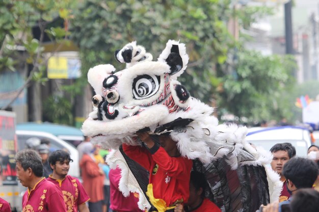 Photo chinese new year lion dance celebration in festival