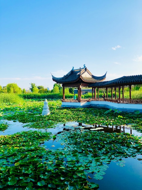 Chinese oude architectuur in de zomer