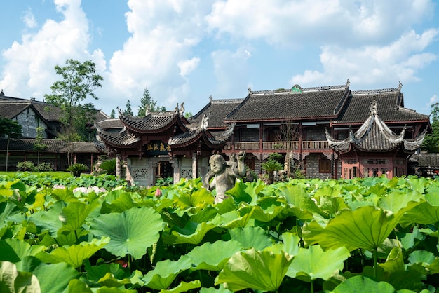 Chinese oude architectuurtuinlandschap en vijvers vol lotusbloemen