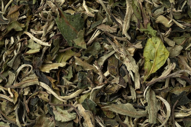 Chinese Pai Mu Tan tea close up full frame