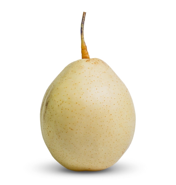 Chinese pear fruit isolated on white background
