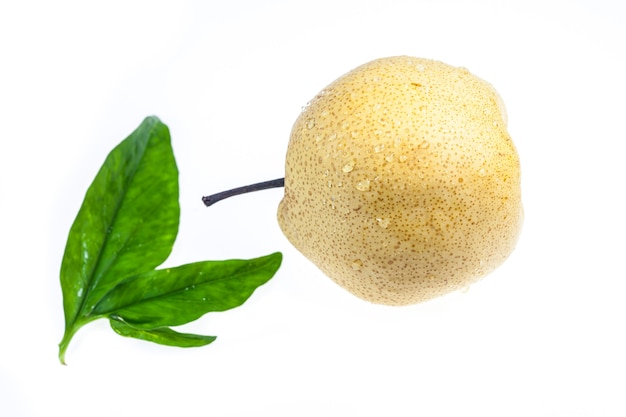 Chinese pear on white background.