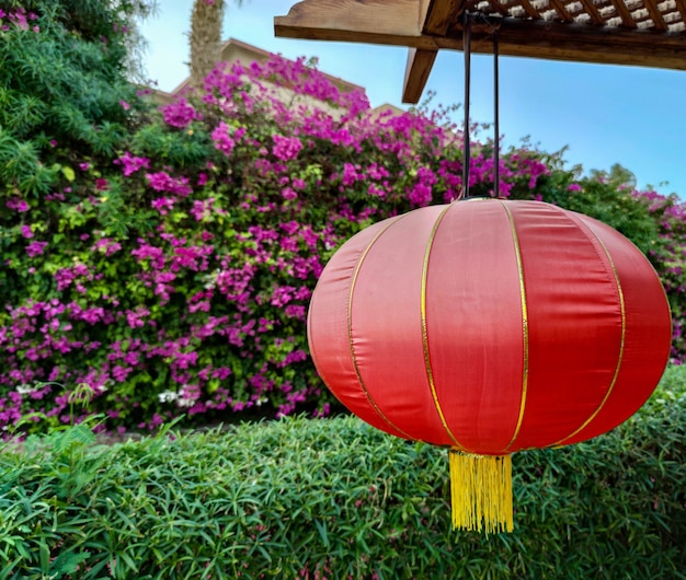 Lampada rossa cinese o lanterna appesa sulla terrazza in legno del ristorante o del caffè. decorazione del nuovo anno in cina. sfondo di celebrazione del festival delle lanterne