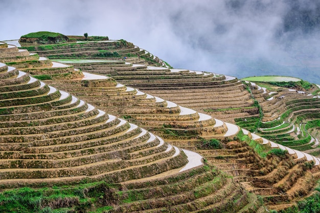 Chinese Rice Terraces