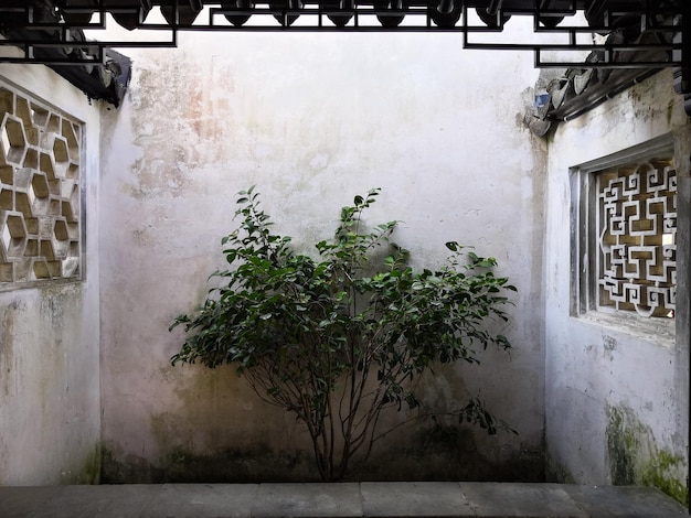 Giardino tradizionale cinese a suzhou in cina