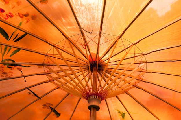 Chinese umbrella