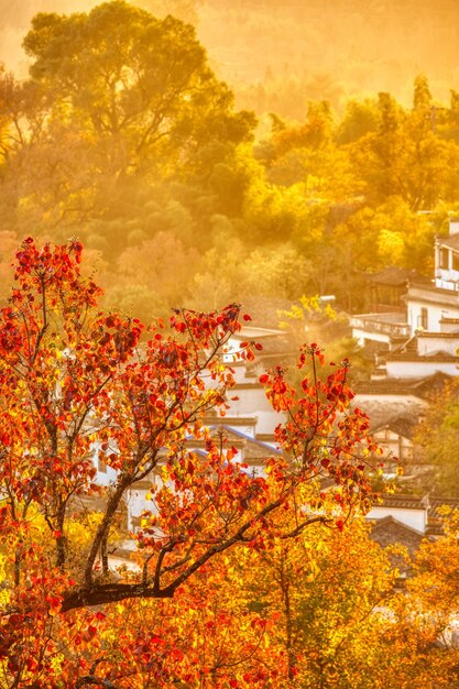 A chinese village in autumn foggy morning