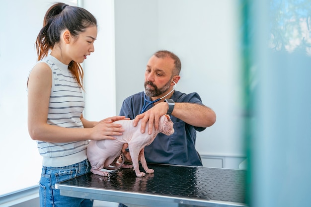 Chinese vrouw die haar sphynxkat behandelen in het ziekenhuis.