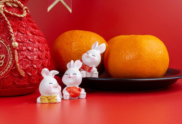 Chinese Year 2023 Rabbit decorations with Chinese Sentences respectively means good luck.