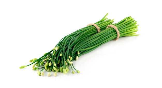 Chives flower or Chinese Chive isolated on white background