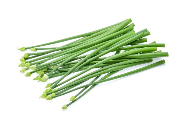 Chives flower or chinese chive isolated