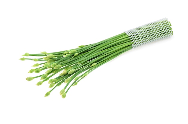 Цветок чеснока или китайский зеленый лук изолированные