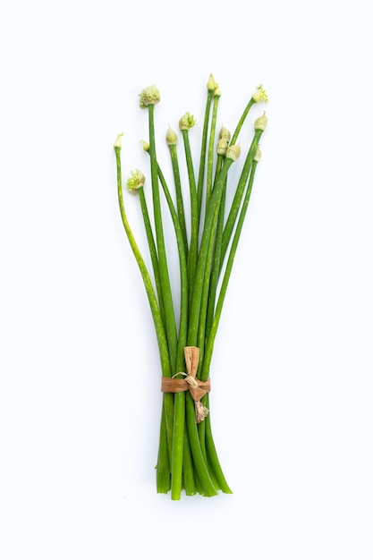 Цветок зеленого лука или китайский зеленый лук на белом