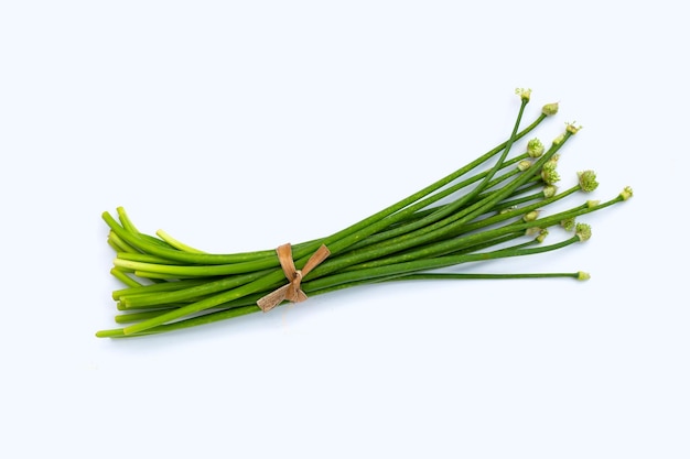 Chives flower or Chinese Chive on white