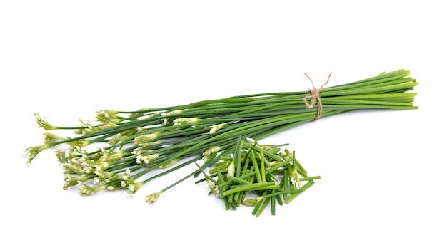 Chives flower or Chinese Chive on white