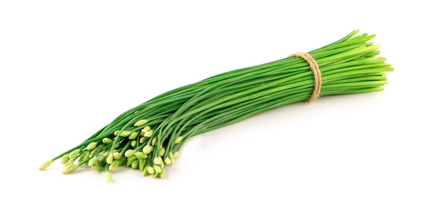 Chives flower on white background