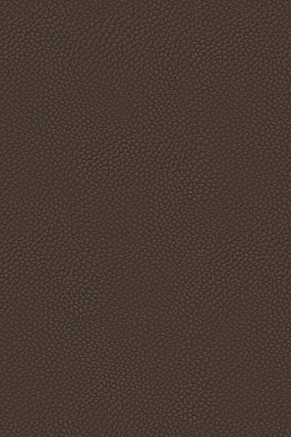 Choco Leather 14