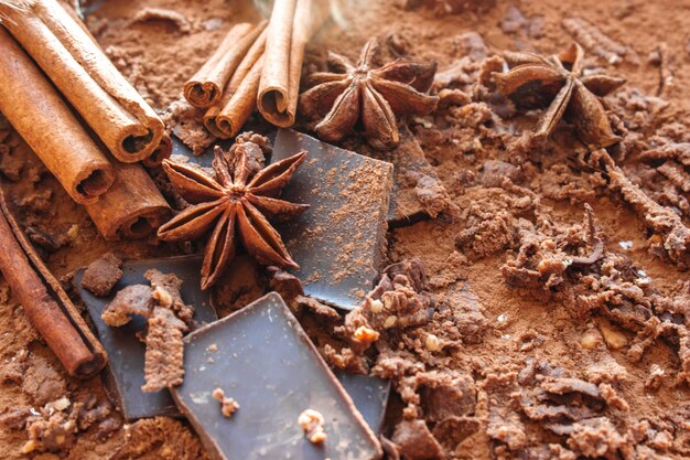 Chocolade, cacao, kaneel en steranijs. selectieve aandacht.