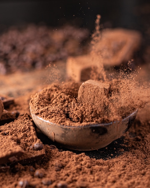 Chocoladesuikergoed truffel in cacaopoeder natuurlijk dessert snoep maaltijd snack op tafel kopieer ruimte