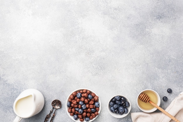 Chocoladevlokken gemaakt van natuurlijke granen met verse bosbessen