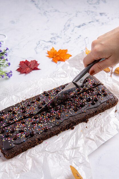 초콜릿 브라우니는 정사각형 또는 직사각형 초콜릿 구운 과자입니다.