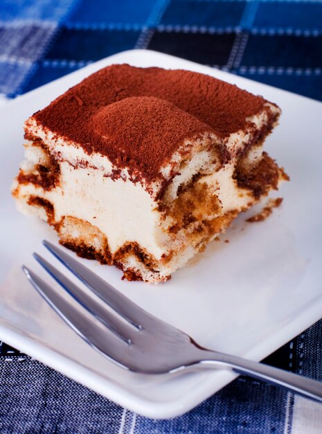 Chocolate cake in plate on table