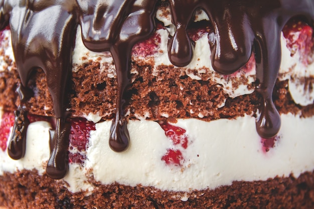 La torta di cioccolato con le fragole si chiude in su