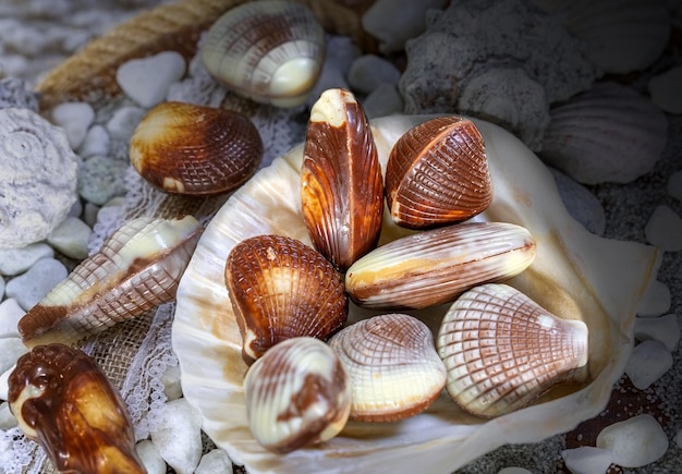 chocolate candies in the form of shells on a gray background of small pebbles and small shells