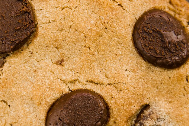 Chocolate cookies on wooden table. Close-up Macro. Selective focus.