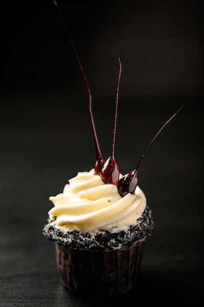 Chocolate cupcake decorated with nuts in caramel on a dark background