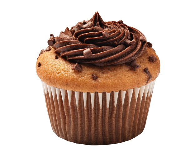 Chocolate Cupcake