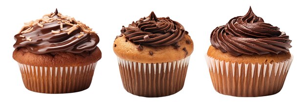 Chocolate Cupcakes