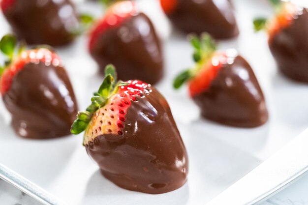 Chocolate dipped strawberries