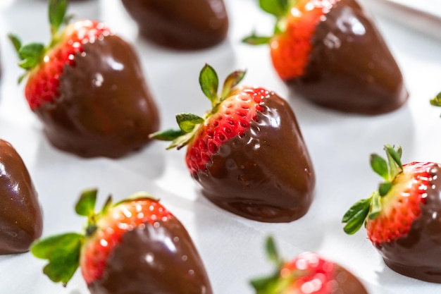 Chocolate dipped strawberries