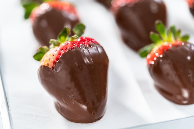 Chocolate dipped strawberries