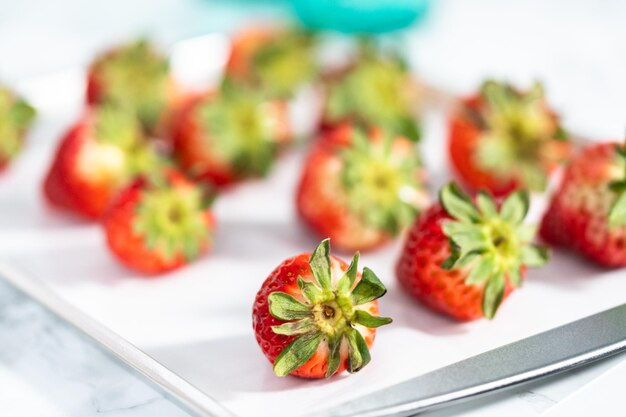 Chocolate dipped strawberries