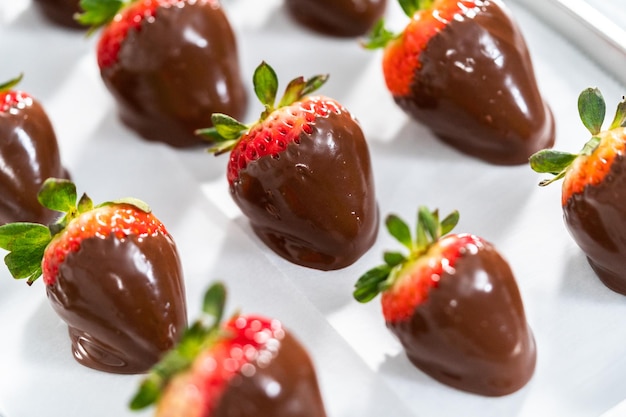 Chocolate dipped strawberries