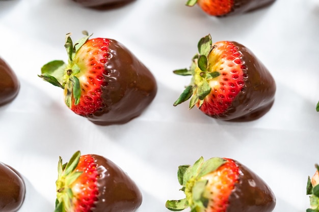 Chocolate dipped strawberries