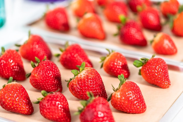 Chocolate dipped strawberries