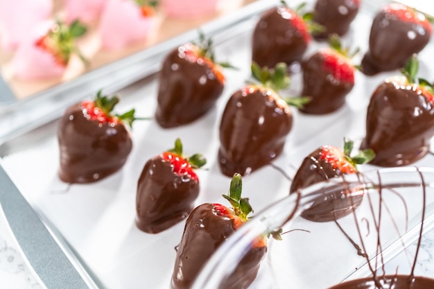 Chocolate dipped strawberries