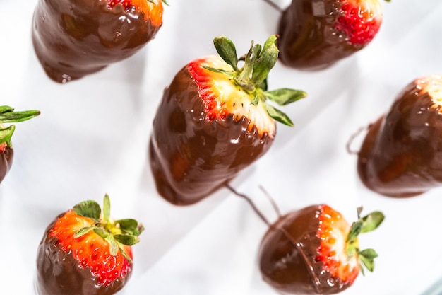 Chocolate dipped strawberries