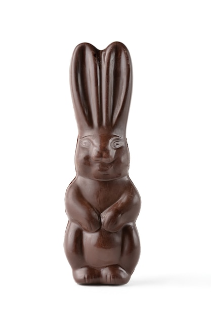 Chocolate Easter bunny isolated on white background.