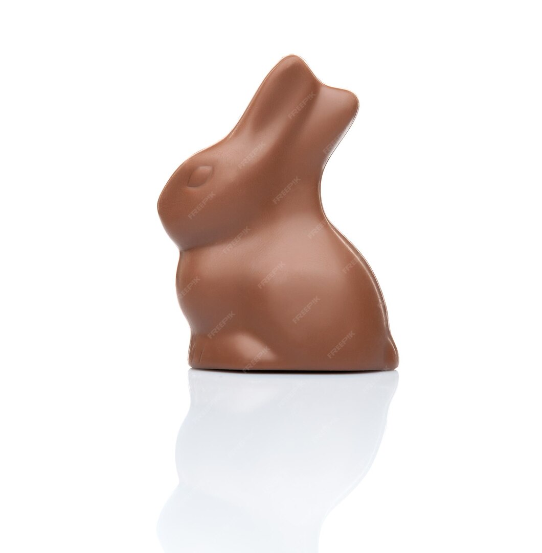 Chocolate easter bunny on white background