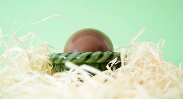 Chocolate egg in porcelain nest and surrounded by paper shavings