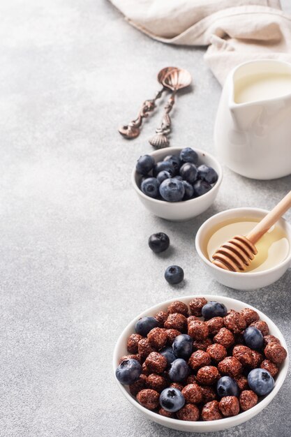 Chocolate flakes made from natural cereals with fresh blueberries