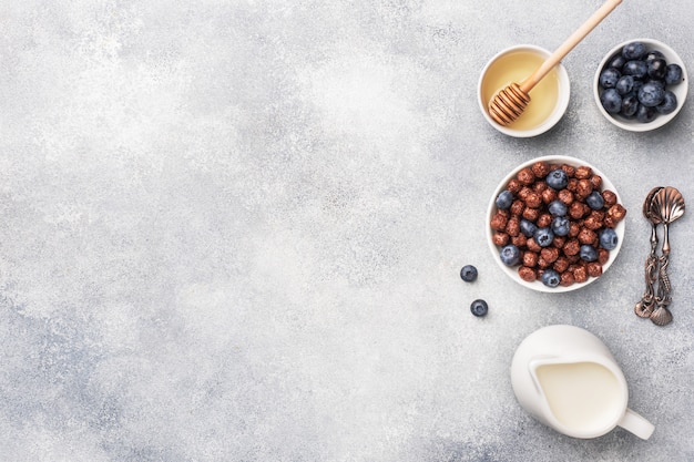 Chocolate flakes made from natural cereals with fresh blueberries