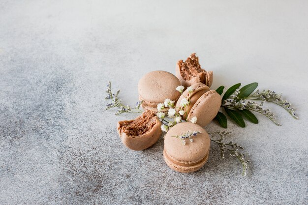 Chocolate-flavored macaroons on a plain background