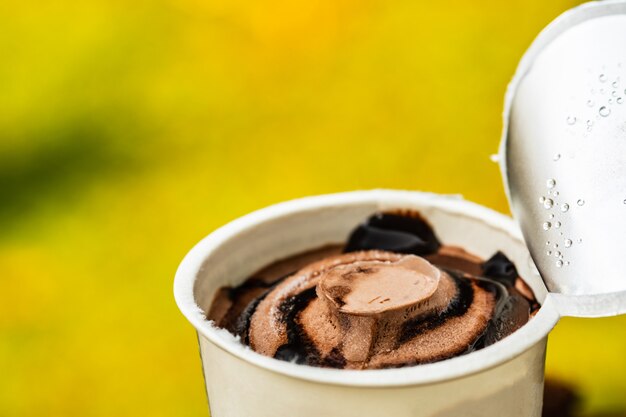 Chocolate ice cream in a white paper cup