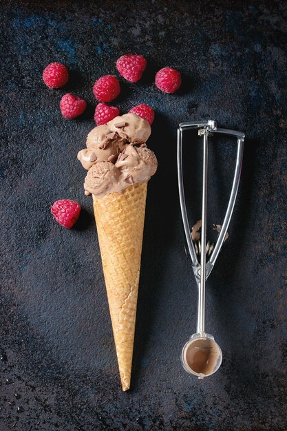 Chocolate ice cream with raspberries