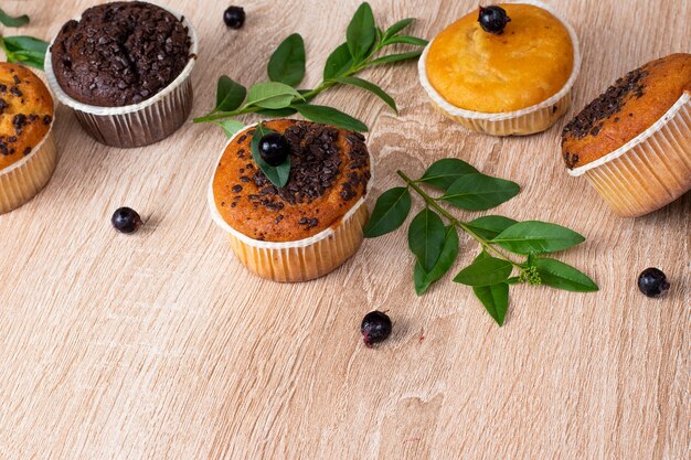 Chocolate muffin and nut muffin, homemade bakery on dark background.